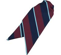 Great British Tie Club Ladies RAF Royal Air Force Clip On Cravat
