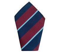 Great British Tie Club Men's RAF Royal Air Force Handkerchief 12 inch Pocket Square