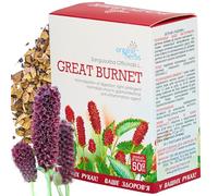 GREAT BURENT TEA, (SANGUISORBA OFFICINALIS L.) - 100% Pure & Natural, Wild-Crafted, Loose Leaf Herbal Tea - 50g (1.76oz) - Original Herbs Herbal Tea