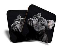 Great Coasters (Set of 2) Square/Glossy Quality Coasters/Tabletop Protection for Any Table Type - Black French Bulldog Dog #3885