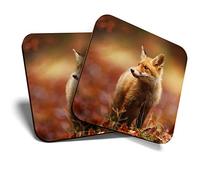 Great Coasters (Set of 2) Square/Glossy Quality Coasters/Tabletop Protection for Any Table Type - Cute Ginger Fox Autumn Wildlife #8116