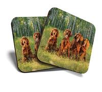 Great Coasters (Set of 2) Square/Glossy Quality Coasters/Tabletop Protection for Any Table Type - Irish Red Setter Family Dog #3389