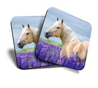 Great Coasters (Set of 2) Square/Glossy Quality Coasters/Tabletop Protection for Any Table Type - Pretty Palomino Horse Pony #2552