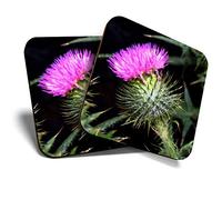 Great Coasters (Set of 2) Square/Glossy Quality Coasters/Tabletop Protection for Any Table Type - Purple Thistle Flower Flowers Scottish Scotland #3589