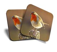 Great Coasters (Set of 2) Square/Glossy Quality Coasters/Tabletop Protection for Any Table Type - Robin Redbreast Bird Animals Birds #8701