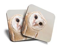 Great Coasters (Set of 2) Square/Glossy Quality Coasters/Tabletop Protection for Any Table Type - Wise Barn Owl Tyto Albahead #15817