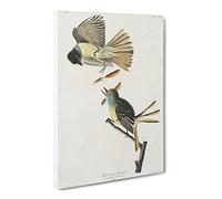 Great Crested Flycatcher Birds By John James Audubon Canvas Print | Gallery Wrapped 30mm Frame Wall Art | 20x14 inches | Ready to Hang | Retro Bird Picture | Living Room Bedroom Lounge Office