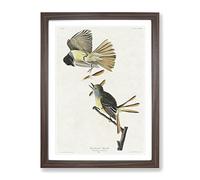 Great Crested Flycatcher Birds By John James Audubon Vintage Framed Print | A2 Walnut Framed Wall Art | Ready to Hang | Classic Nature Picture | Living Room Bedroom Lounge Office