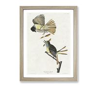 Great Crested Flycatcher Birds By John James Audubon Vintage Framed Print | A4 Oak Framed Wall Art | Ready to Hang | Classic Nature Picture | Living Room Bedroom Lounge Office