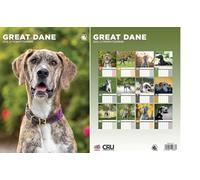 Great Dane 2026 Calendar - A3 Size 30 x 42 cm, 12 Months of Great Photography