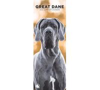 Great Dane 2026 Wall Calendar, 12-Month Slim Format, Made in England
