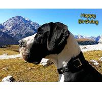 Great Dane Birthday Card