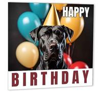 Great Dane Birthday Cards 147 x 147mm Cute Happy Birthday Card