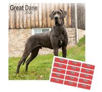 Great Dane Calendar 2026 | 16 months | September 2025 to December 2026 | with FREE Organisational Stickers