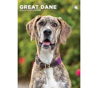 Great Dane Dog 2026 Calendar, A3, Wirobound, Full Colour