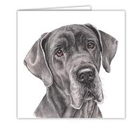 Great Dane Dog Art Card/Greetings Card (AC-170)