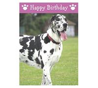 Great Dane, Dog Birthday Card