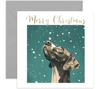 Great Dane Dog Christmas Card for Men and Women - Xmas Gifs for Pet Owner from Dog - Beautiful Festive Artwork - Keepsake Present for Husband Wife Mum Dad - Blank Inside with Envelope