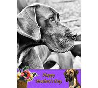 Great Dane Dog Mothers Day Card