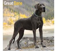 Great Dane Euro
