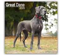 Great Dane (Euro) 2025 Square Wall Calendar | Dog Breed Calendar