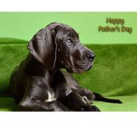 Great Dane Fathers Day Card