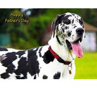 Great Dane Fathers Day Card
