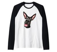 Great Dane Goofy Gentle Giant Face Graphic Raglan Baseball Tee