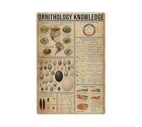 Great Dane Knowledge Metal Tin Signs Great Dane Infographic Posters Dog Encyclopedia Guide Plaques Home Room Pet Store Wall Decor 8x12 Inches