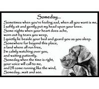 Great Dane Pet Dog Memorial Rainbow Bridge Gift - Someday