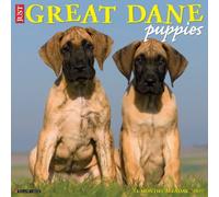 Willow Creek Press, Great Dane Puppies 2027 Wall Calendar
