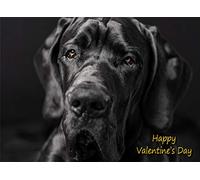 Great Dane Valentines Day Card