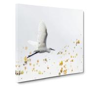 Great Egret Bird in Flight Canvas Print | Gallery Wrapped 30mm Frame Wall Art | 14x14 inches | Ready to Hang | Abstract Animals Picture | Living Room Bedroom Lounge Office