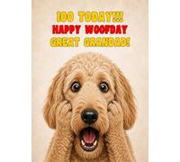 Great Grandad 100th Birthday Card (Funny Surprised Labradoodle Dog)