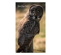 Great Grey Owl