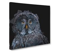 Great Grey Owl Canvas Print | Gallery Wrapped 30mm Frame Wall Art | 20x20 inches | Ready to Hang | Abstract Animals Picture | Living Room Bedroom Lounge Office