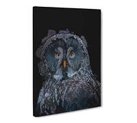 Great Grey Owl Canvas Print | Gallery Wrapped 30mm Frame Wall Art | 24x16 inches | Ready to Hang | Abstract Animals Picture | Living Room Bedroom Lounge Office