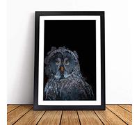 Great Grey Owl in Abstract | Framed Wall Art Print | Modern Home Decor Picture | Ready to Hang Artwork for Living Room, Bedroom, Kitchen or Office | Multiple Sizes