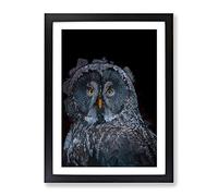 Great Grey Owl In Abstract Modern Framed Wall Art Print, Ready to Hang Picture for Living Room Bedroom Home Office Décor, Black A4 (34 x 25 cm)