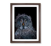 Great Grey Owl In Abstract Modern Framed Wall Art Print, Ready to Hang Picture for Living Room Bedroom Home Office Décor, Walnut A2 (64 x 46 cm)