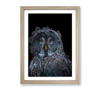 Great Grey Owl In Abstract Modern Framed Wall Art Print, Ready to Hang Picture for Living Room Bedroom Home Office Décor, Oak A2 (64 x 46 cm)