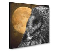Great Grey Owl Vol.1 Canvas Print | Gallery Wrapped 30mm Frame Wall Art | 20x20 inches | Ready to Hang | Modern Animals Picture | Living Room Bedroom Lounge Office
