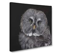 Great Grey Owl Vol.2 Canvas Print | Gallery Wrapped 30mm Frame Wall Art | 14x14 inches | Ready to Hang | Modern Animals Picture | Living Room Bedroom Lounge Office