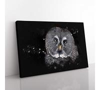 Great Grey Owl Vol.2 Paint Splash Modern Art Canvas Wall Art Print Ready to Hang, Framed Picture for Living Room Bedroom Home Office Décor, 50x35 cm (20x14 Inch)
