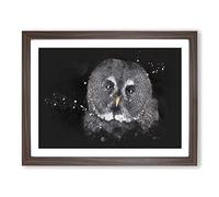 Great Grey Owl Vol.2 Paint Splash Modern Art Framed Wall Art Print, Ready to Hang Picture for Living Room Bedroom Home Office Décor, Walnut A4 (34 x 25 cm)