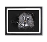 Great Grey Owl Vol.2 Paint Splash Modern Art Framed Wall Art Print, Ready to Hang Picture for Living Room Bedroom Home Office Décor, Black A4 (34 x 25 cm)