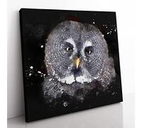 Great Grey Owl Vol.2 Paint Splash Modern Canvas Wall Art Print Ready to Hang, Framed Picture for Living Room Bedroom Home Office Décor, 35x35 cm (14x14 Inch)