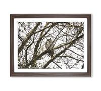 Great Horned Owl Resting Painting Modern Art Framed Print | A2 Walnut Framed Wall Art | Ready to Hang | Modern Animal Picture | Living Room Bedroom Lounge Office