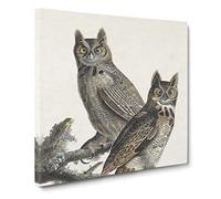 Great Horned Owls by John James Audubon Canvas Print | Gallery Wrapped 30mm Frame Wall Art | 20x20 inches | Ready to Hang | Retro Bird Picture | Living Room Bedroom Lounge Office