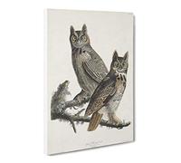 Great Horned Owls By John James Audubon Canvas Print | Gallery Wrapped 30mm Frame Wall Art | 24x16 inches | Ready to Hang | Retro Bird Picture | Living Room Bedroom Lounge Office